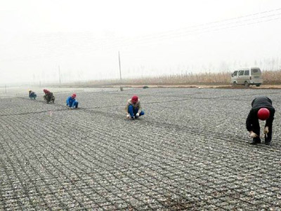 佳木斯玻纤土工格施工数量33万平方